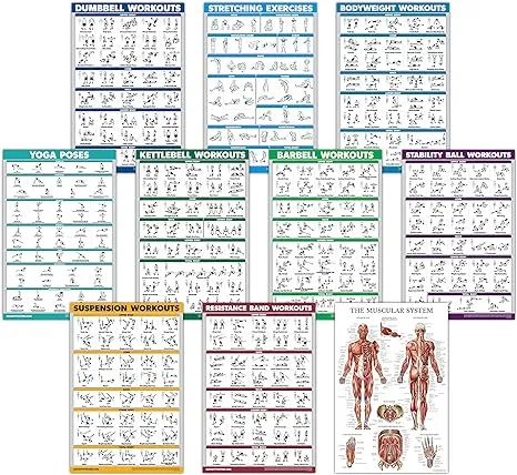 10 Pack - Exercise Workout Poster Set - Dumbbell, Suspension, Kettlebell, Resistance Bands, Stretching, Bodyweight, Barbell, Yoga Poses, Exercise Ball, Muscular System Chart (LAMINATED, 18" x 27")