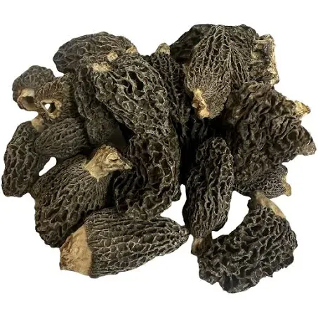 Dried Wild Morel Mushrooms