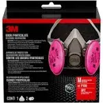 3M Protection Mold and Lead Particle Respirator, Medium