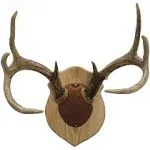 Walnut Hollow Country Antler Mount &amp; Display Kit Oak  Brown