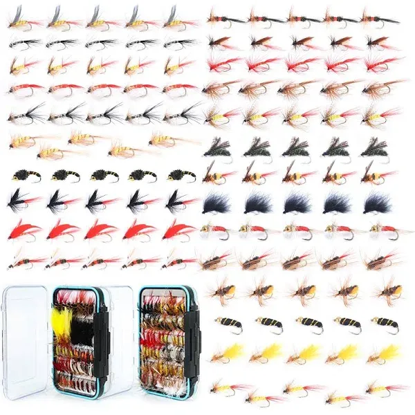 Maxcatch 120 pcs Fly Fishing Flies Kit Handmade Assortment Dry/Wet Flies, Nym...