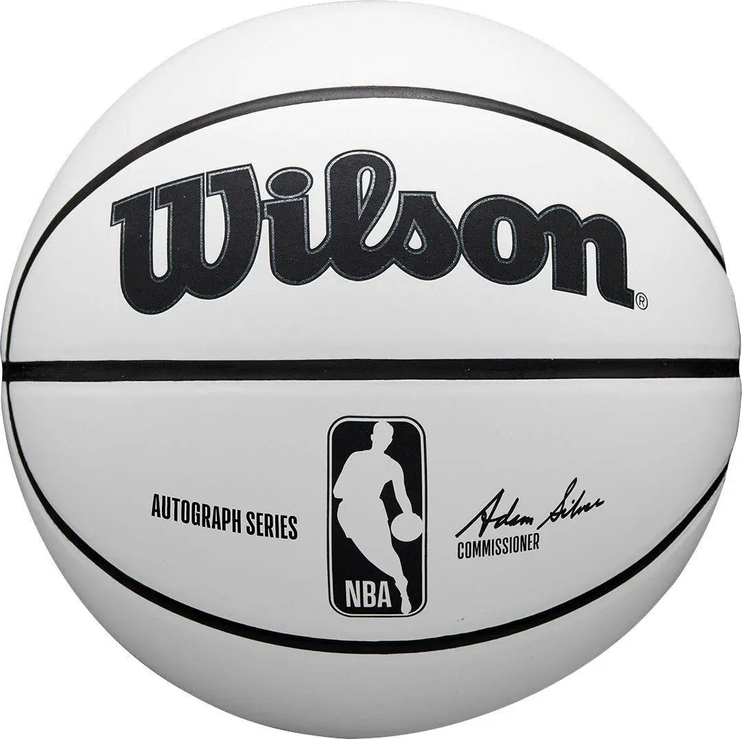 WILSON NBA Alliance Series Basketballs - Size 7 and Mini Size