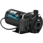 WAYNE CWS75 - 3/4 HP Cast Iron Convertible Jet Well Pump - Up to 462 Gallons Per Hour - Heavy Duty Jet Well Pump,Black