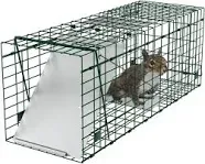 Oxgord Live Animal Trap Humane Catch & Release Large 32" Cage Best for Raccoon