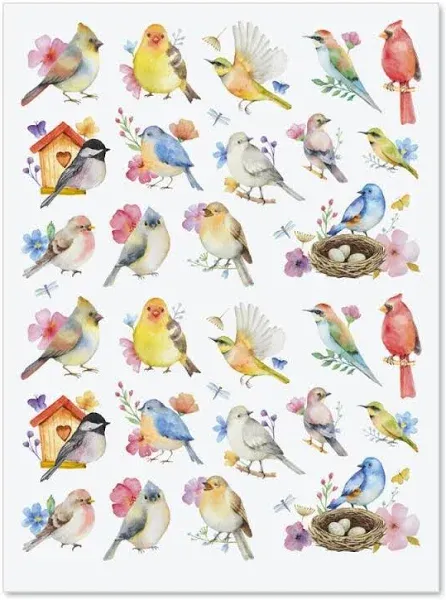 Watercolor Birds Stickers - Set of 52 Stickers