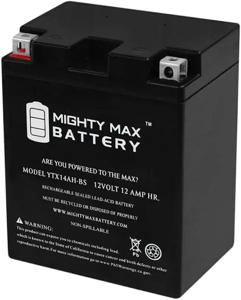 Mighty Max Battery YTX14AH-BS 12V 12Ah Battery Replacement for RG14AH-WS AGM Motorcycle