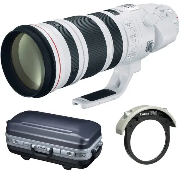 Canon EF 200-400mm f/4L IS USM Extender 1.4x Lens