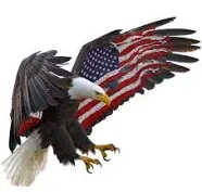 American Eagle American Flag Decal