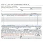 Adams Bill of Lading Short Form, 3-Part, 250/PK