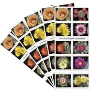 US Scott # 5350-5359 Booklet Pane Of 20 Stamps MNH, Cactus Flowers