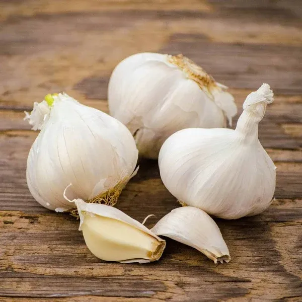 California White Softneck Garlic - 3 Bulbs | Zone 3-9