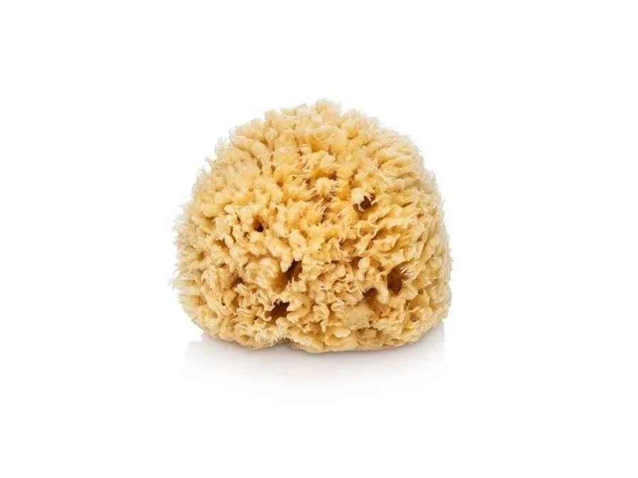 Natural Sea Wool Bath Sponge