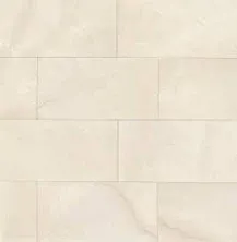 Pulpis 12" x 24" Honed Porcelain Tile in Bianco