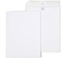 Staples Clasp Catalog Envelopes 9"L x 12"H