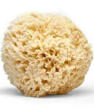 Large Natural Bath Sea Sponge ( Soft \xa0)