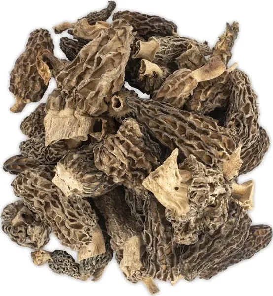 Slofoodgroup Dried Morel Mushrooms Gourmet Morel Mushrooms