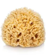 LAther Natural Sea Wool Sponge