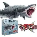 Puzzle: Animal Anatomy: Floor Puzzle: Shark 100pc