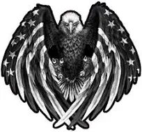 Bald Eagle American Flag Eagle Wings Decal