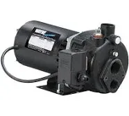 NEW WAYNE CWS75 3/4 HP DEEP WELL JET PUMP 120/240 VOLT NEW USA MADE SALE 6173611