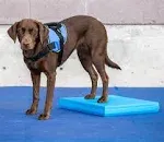 FitPaws® Balance Pad | Dog Balance Training Platform & Exercise Equipment | Workout Tool for Strength, Core & Stability