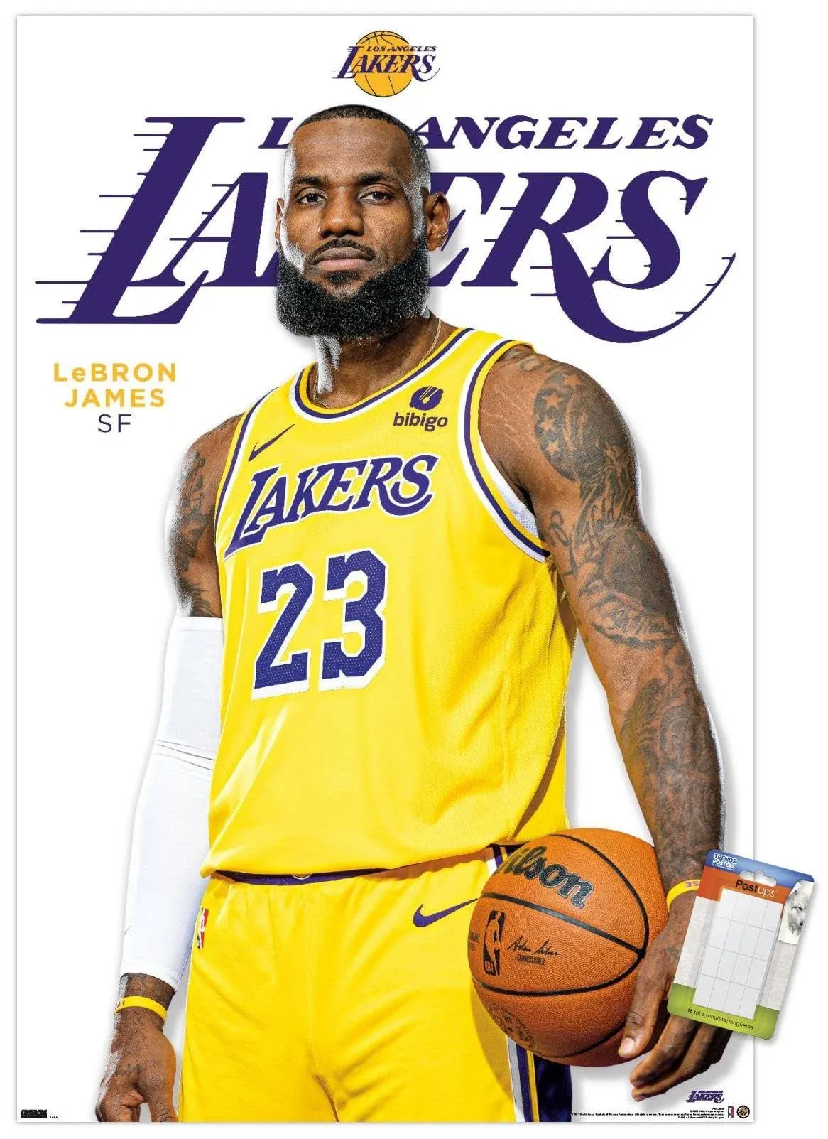 Trends International NBA Los Angeles Lakers - LeBron James Feature Series 23 Wall Poster