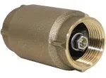 Merrill MFG CVNL100 1 inch No-Lead Brass Check Valve 700 Series