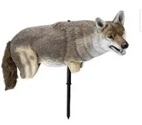 Lucky Duck Yote Coyote Decoy