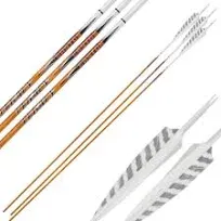 Easton Carbon Legacy Arrows 340 4 In. Feathers 6 Pk.