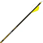 Gold Tip Hunter Pro Arrows with 2-Inch Raptor Vanes (1-Dozen) 400