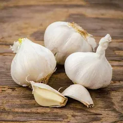 California White Softneck Garlic