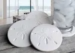 Drink Coaster 4-Pack - Sand Dollar