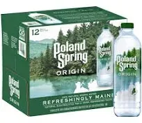 Poland Spring Origin 100% Natural Spring Water