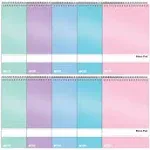 Better Office Steno Pads, 6" x 9", Gregg-Ruled, Assorted Colors, 80 Sheets/Pad, 10 Pads/Pack (25810-10PK)