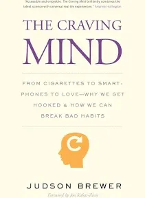 The Craving Mind: From Cigarettes to Smartphones to Love - Why We Get Hooked and How We Can Break Bad Habits