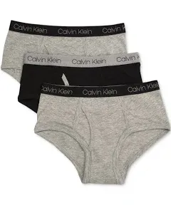 Calvin Klein 3 Pack Boys Cotton Stretch Briefs White &amp; Gray Sz XS (4-5) -- New