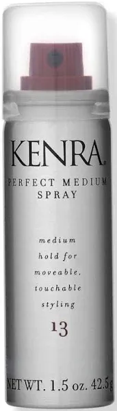 Kenra Perfect Hairspray Med 13 10Oz