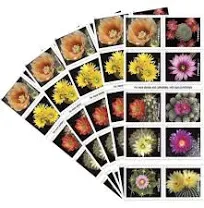 Cactus Flowers Forever First Class USPS Postage Stamps