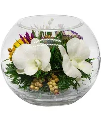 Flowers Purple Orchids, Limoniums Greenery in a Flat Rugby Glass Vase