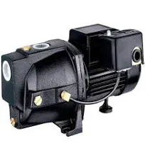 3/4 HP Dual Voltage Cast Iron Shallow Well Jet Pump