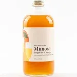 Mimosa Tangerine and Mango Mixer