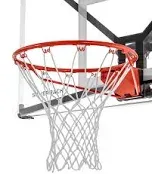 Standard Breakaway Rim with Nylon Net Compatible and Goaliath Portable Basketbal