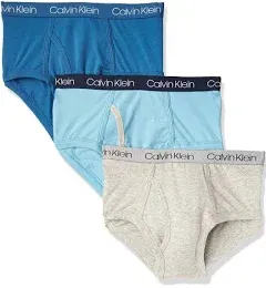 Calvin Klein Boys' Little Modern Cotton Assorted Briefs Underwear 3 Pack