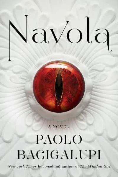 Navola: A Novel [Book]