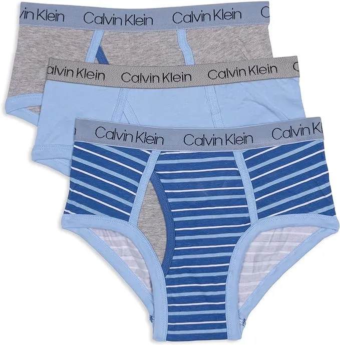 Calvin Klein Boys' Little Modern Cotton Assorted Briefs Underwear 3 Pack