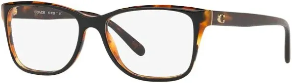 Coach HC6129 Eyeglasses - Berry Laminate (5532)