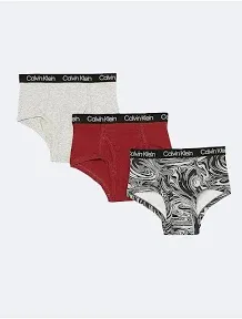 Calvin Klein Boys' Little Modern Cotton Assorted Briefs Underwear 3 Pack