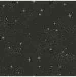 Roommates Upon A Star Peel and Stick Wallpaper, Size: 20.5 inches wide x 16.5 feet, Black