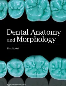 Dental Anatomy and Morphology