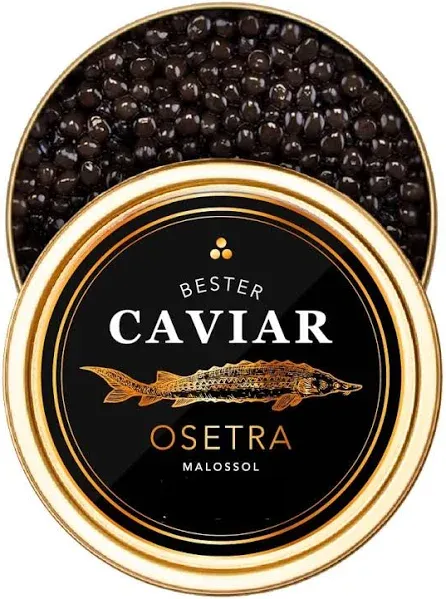 Overnight Guaranteed, BESTER Premium Russian Osetra Sturgeon Black Caviar - (1.76 oz (50g)) - Malossol Ossetra Black Roe - Premium Quality, Traditional Style, imported